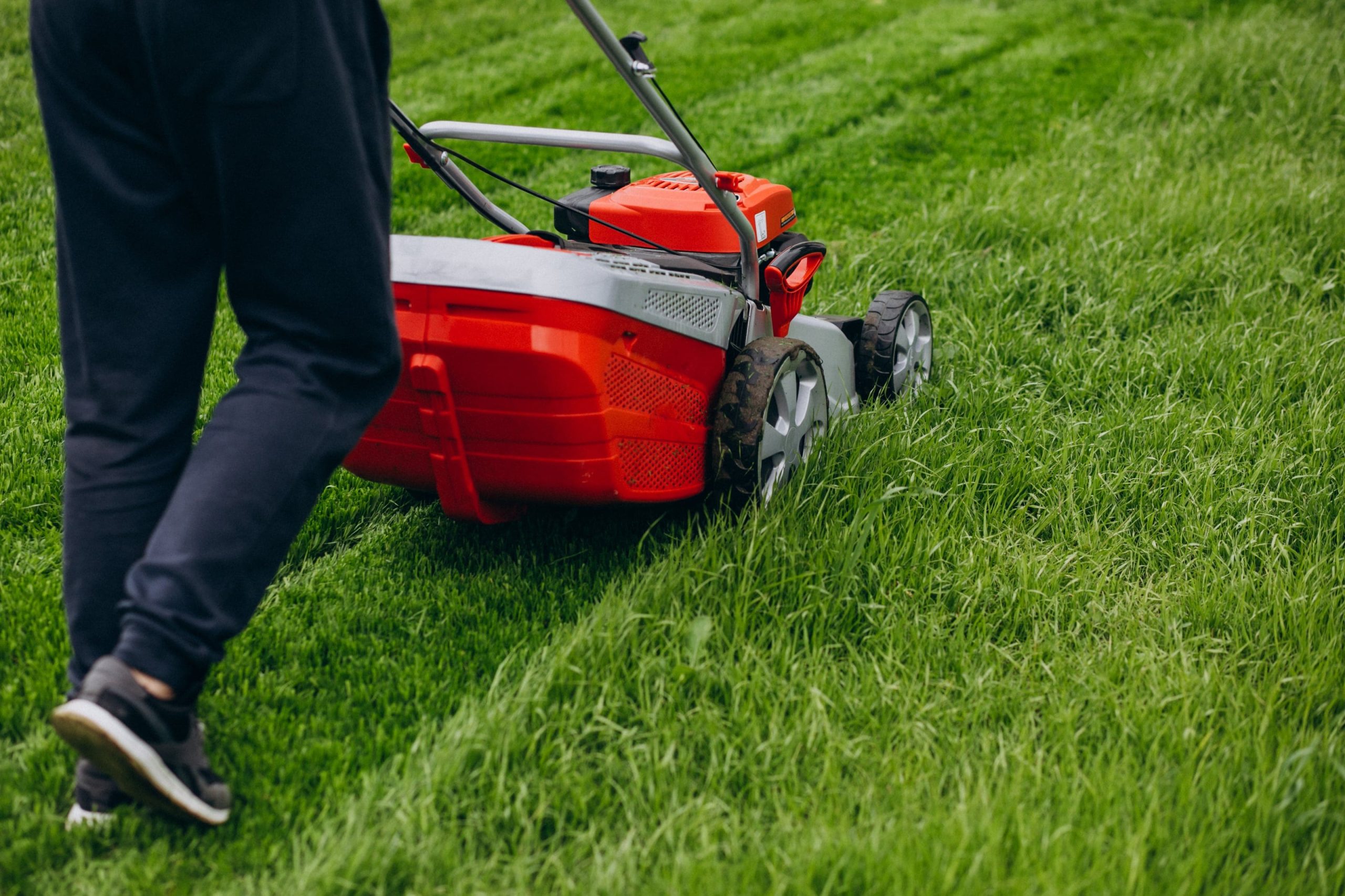 Lawn maintenance in Maple Grove